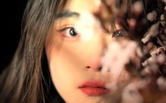 野花免费观看高清在线下载